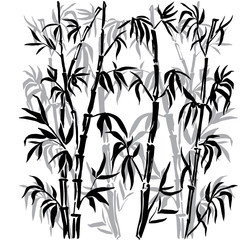 Obraz premium Bamboo leaf background. The top of the bamboo.