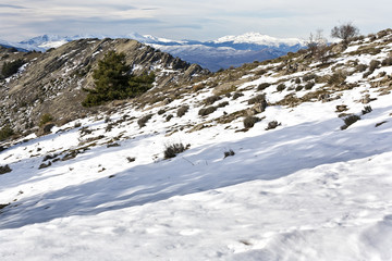 Fototapeta na wymiar Nieve en la peña del Aguila. Madrid