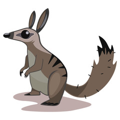 Numbat animal cartoon vector illustration isolated on white background.