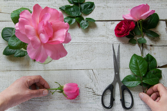 Top view of female decorator arranging roses on the wooden table, Concepts - fiorist, occupation, hobby, small business