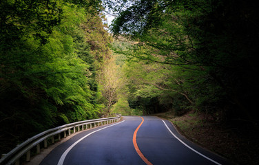 Winding road through a low mountain forest