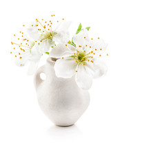 Cherry blossoms in white vase isolated on white