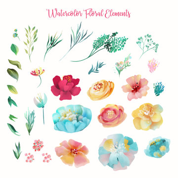 The set of watercolor hand drawn abstract flowers