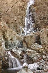 Fototapeta na wymiar 丹沢 冬季のミズヒ大滝