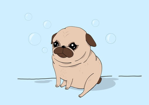 Bubble buddy / Creative conceptual still life illustration. Pug dog with soap bubbles.