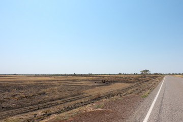 Fototapeta na wymiar Flat plain in the outback of the Northern Territory in Australia