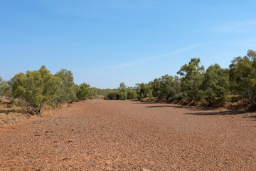 Fototapeta na wymiar Dry river bed and trees during drought in the outback of Queensland in Australia