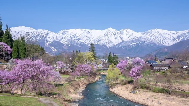 春の大出公園