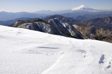 Obraz premium 雪の塔ノ岳からの富士山