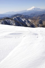 Fototapeta premium 雪の塔ノ岳からの富士山