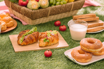 Healthy picnic for a summer vacation at the park on the grass.