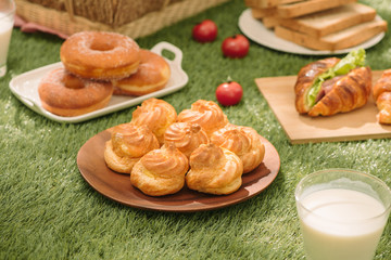 Picnic at the park on the grass with food and drink on blanket