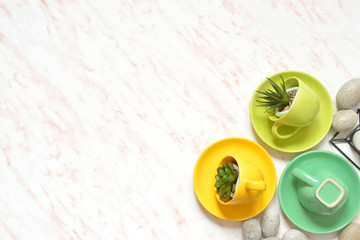 Flat lay of creative colored marble desk with green cup, stones and succulents background