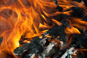 Campfire flame and smoke. Burning brushwood and dry grass. Close up shot