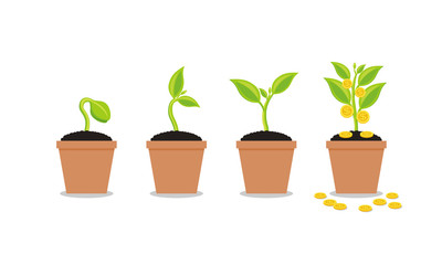 Plant Growing In Savings Coins - Investment And Interest Concept, Business investment growth concept, with stack money coin