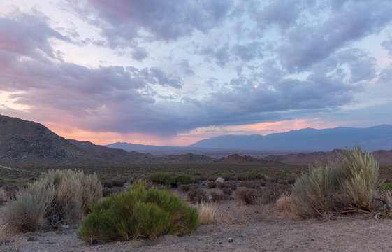 Off Highway 395, Bishop, California