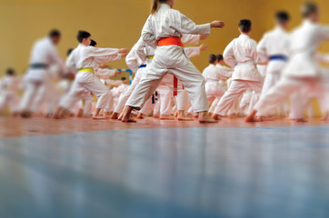 Kids training on karate-do. Banner with space for text. For web pages or advertising printing. Photo without faces, from the back. © Uladzimir