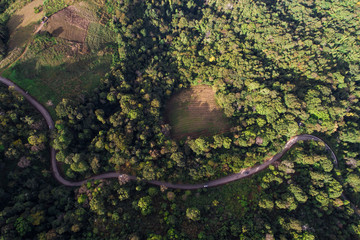 Green scenery aerial view of deep mountain forest with road