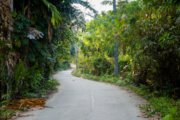 Fototapeta na wymiar Landscape of Koh Mook island