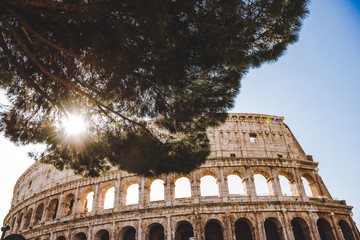 Obraz premium bottom view of Colosseum ruins with tree and sunshine in Rome, Italy