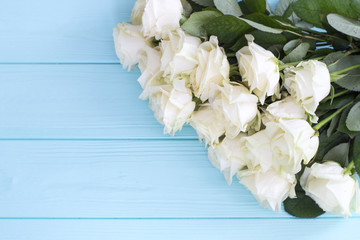 White roses on a turquoise wooden background. White roses, turquoise wooden background
