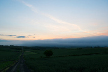 上富良野　千望峠の風景