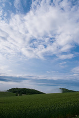 上富良野　千望峠の風景
