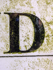 Written Wording in Distressed State Typography Found Letter D