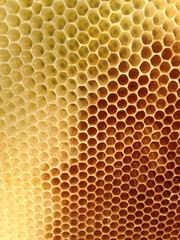 Bienenwaben-Kunstwerk