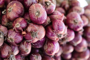Shallots backgound, with copy space.