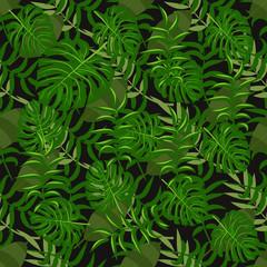 Naklejka na ściany i meble Tropical pattern palm summer green palm leaves black background.
