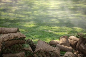 Grass rolls ready for installation on a new lawn..