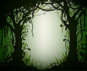 Obraz premium green thicket rain-forest, deep fairy forest silhouette,