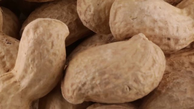 Noccioline tostate