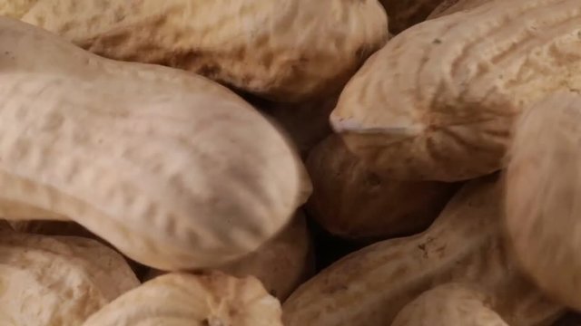 Noccioline americane