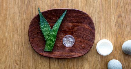 handmade cosmetics workshop from aloe vera for anti-aging moisturizer