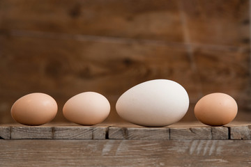 Eggs of different size and colour, from different birds on wooden floor.
