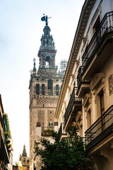 Fototapeta na wymiar La Giralda Tower fortissima in Sevilla city, Spain