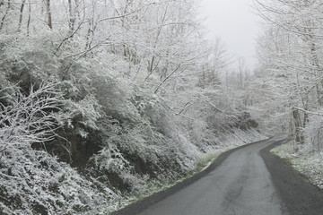 West Virginia Country Roads