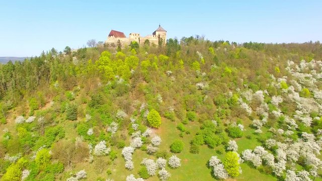 Drone flight around Tocnik Castle in blooming orchard. A royal chateau of Wenceslas IV from the 14th century, adjusted in the Renaissance and the Baroque styles. Famous Czech monument from above. 
