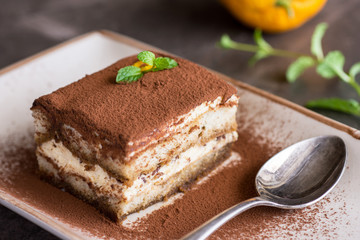 Tiramisu Cake Traditional Italian Dessert with Mascarpone Cheese and Espresso Coffee