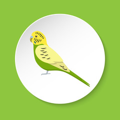 Budgerigar parrot icon in flat style