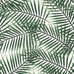 Seamless pattern green exotic palm tropical leaves on white background.