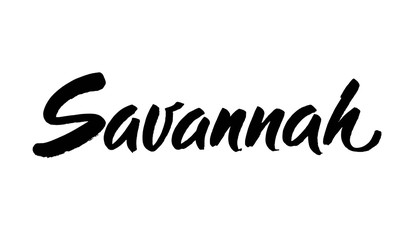 savannah hand drawn lettering isolated on the white background. Typography poster. Usable as background. Modern brush calligraphy. Vector