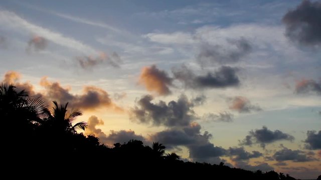 Tropical clouds over palm tree silhouette
