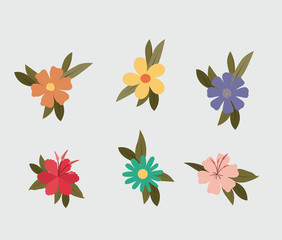 cute flowers garden and leafs vector illustration design