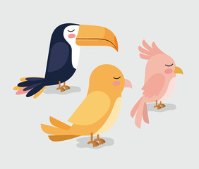 cute group birds animals vector illustration design © Grgroup
