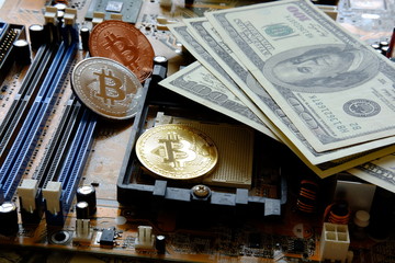 Golden Bitcoin coins on Motherboard, miner with circuit board, pool Cryptocurrency