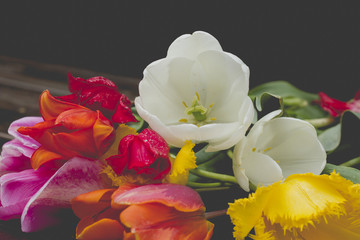 colorful tulips bouquet