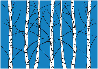 Color vector illustration of naked winter birch trees silhouettes and blue sky. Winter birch forest.